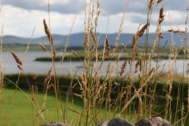 apple cold storage facility controlled atmosphere ireland gallery